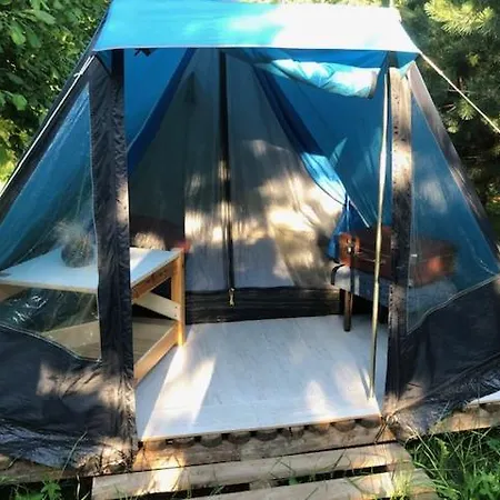 Pine Nest Glamping *