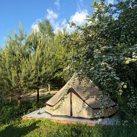 Luxury tent Pine Nest Glamping Vilnius